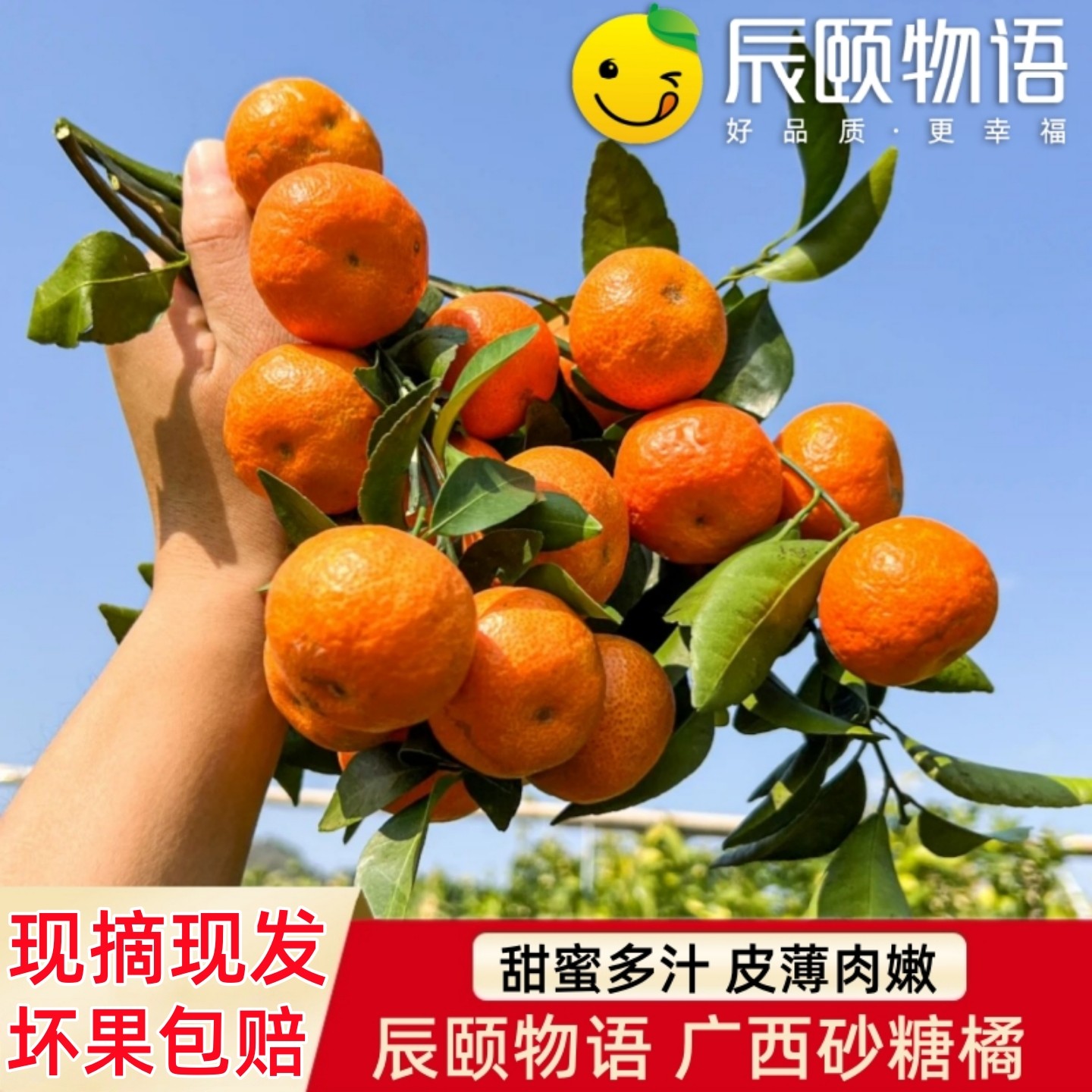 辰颐物语砂糖桔橘子脆甜蜜桔子现摘新鲜应季水果小桔子沙糖桔子,水产肉类/新鲜蔬果/熟食,桔子,淘宝优惠券,粉丝福利购,淘宝优惠卷