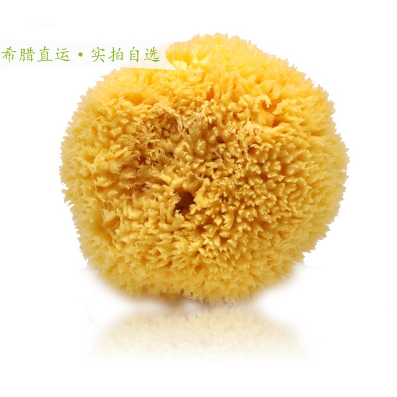 进口天然海绵羊毛海绵 绘画擦色洗澡 地中海海藻绵