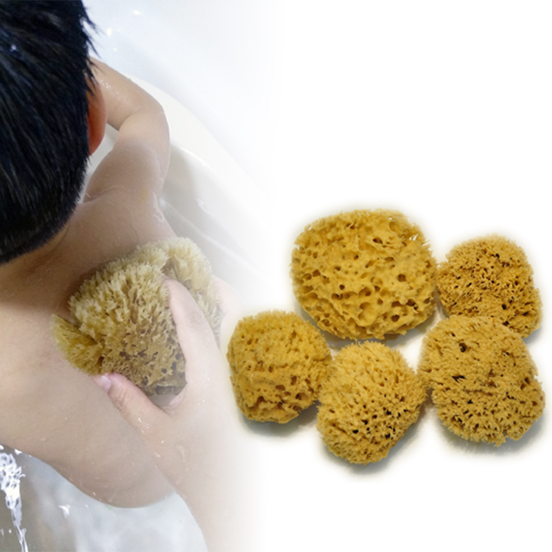 S级希腊进口自然原色蜂窝海绵 女性洗脸洗泥膜婴幼儿童宝宝洗澡