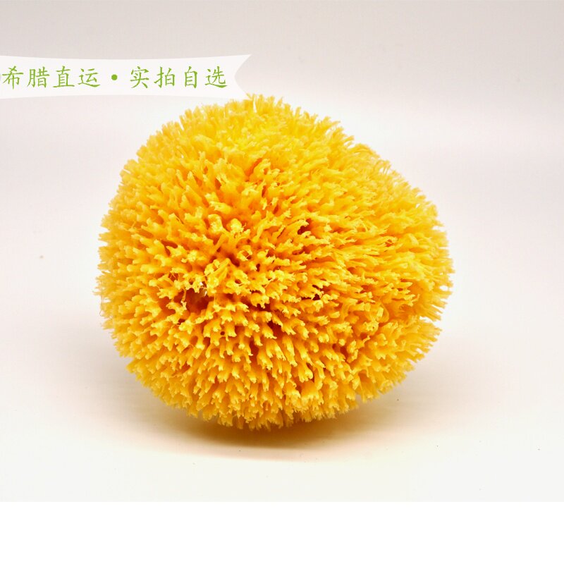 希腊进口天然蜂窝海藻绵蜂巢海绵宝宝孕妇洁面扑洗泥膜洗脸去角质