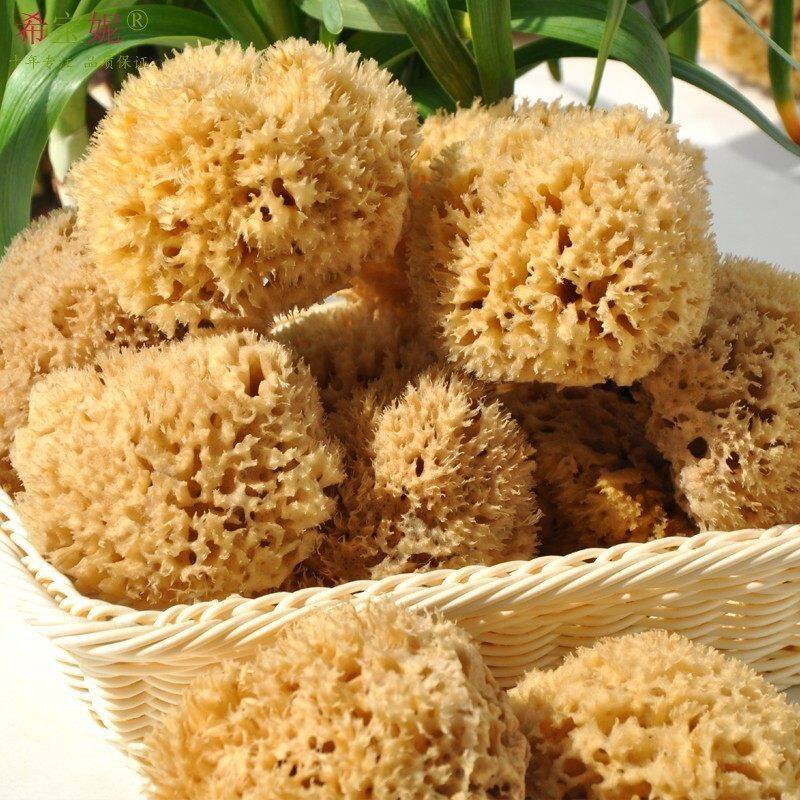 洗脸洁面扑洗泥膜 原色蜂窝绵地中海天然海绵海藻棉3.5~4.0英寸