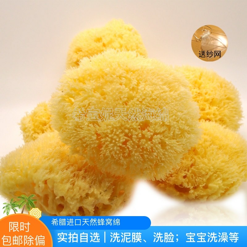实拍 希腊天然海藻棉蜂窝绵4.0~4.5英寸洗脸婴儿幼童宝宝洗澡海绵