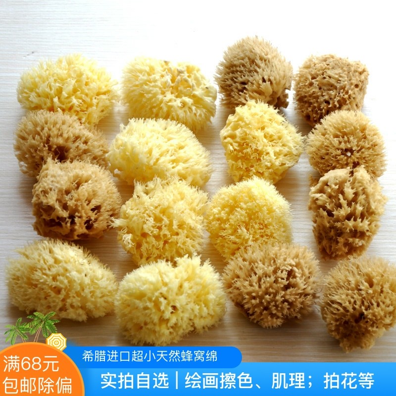 迷你超小蜂窝绵1.5-2.5英寸希腊天然海藻绵 油画拍花素描擦色洗脸