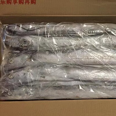 南通特产海安老坝港带鱼一条4两5两，一箱10斤，新鲜冰冻货,送礼