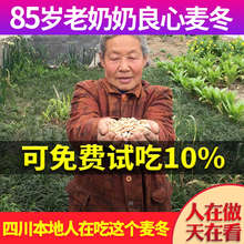 老奶奶特级麦冬500g克包邮 野生无硫天然泡水中药材茶沙参玉竹门