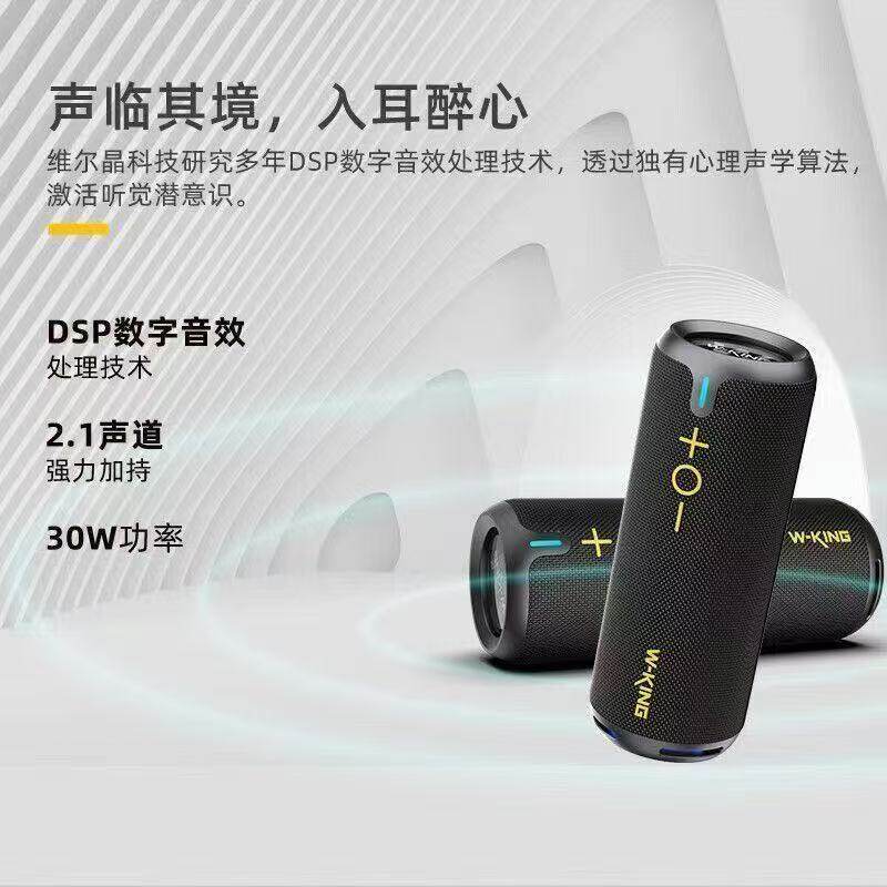 维尔晶 D320便携式骑行音响 登山露营户外IPX7防水低音炮蓝牙音箱