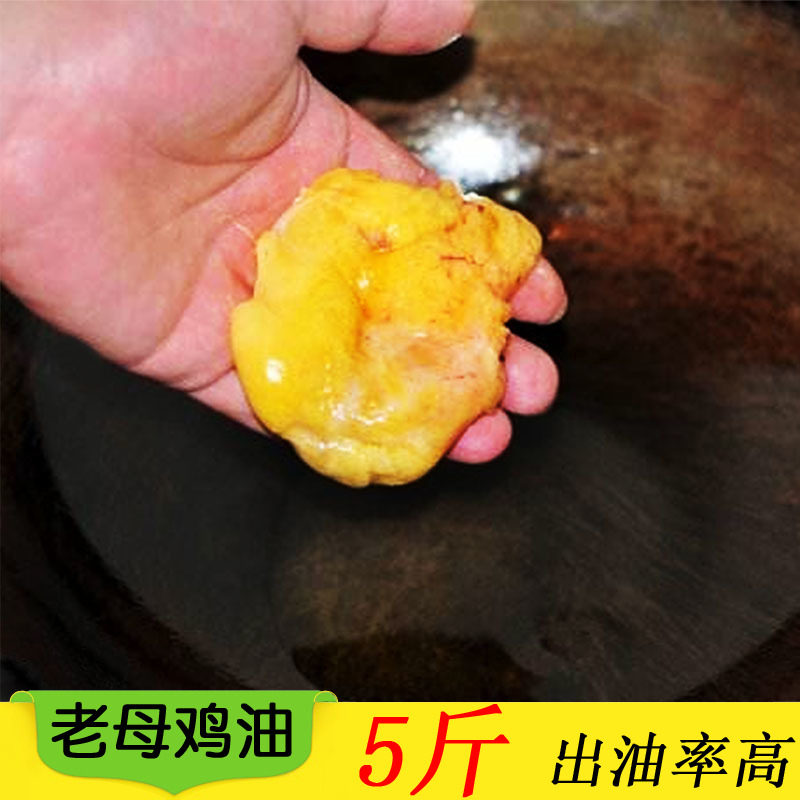 老鸡油老母鸡母鸡油食用生板油冷冻土冻商用黄鲜冰冻纯食品5斤