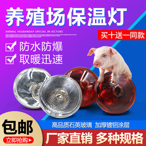 育雏仔猪鹦鹉鸡养殖专用取暖灯泡