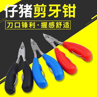兽用不锈钢双弹簧仔猪剪牙钳小猪兔子断齿钳养殖场专用剪齿剪子