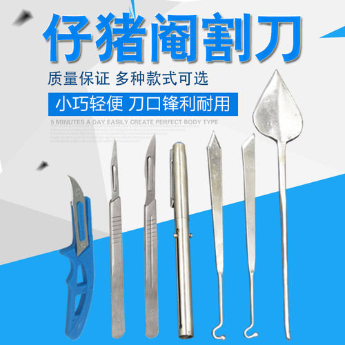 小猪兽用猪用仔猪手术阉割工具敲猪刀阄劁割腌阉猪刀煽猪刀去势刀 - 封面
