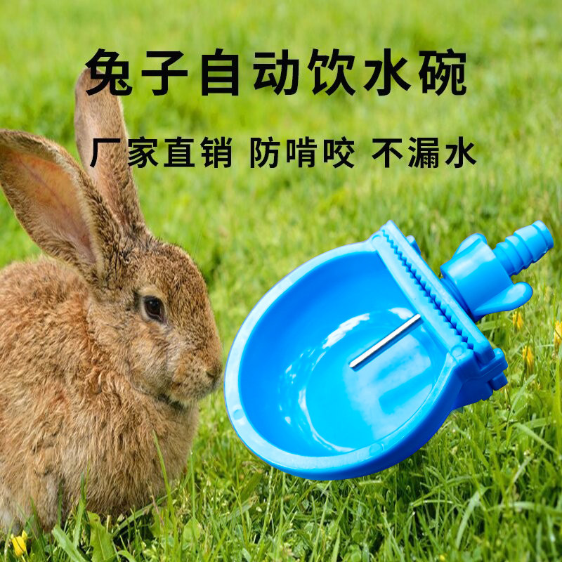 兔子饮水器兔用自动水壶用品水嘴饮水碗喂水器兔专用喝水兔饮水嘴