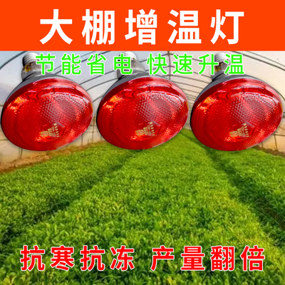 大棚增温灯蔬菜补光花卉加热植物生长温室保温保暖取暖灯增温神器