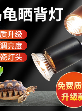 乌龟晒背灯加热灯爬宠专用乌龟灯宠物保温恒温灯架太阳灯龟缸灯泡