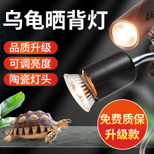 乌龟晒背灯加热灯爬宠专用乌龟灯宠物保温恒温灯架太阳灯龟缸灯泡