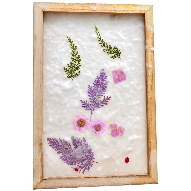 古法造纸术材料包套装 儿童手工diy制作再生花草纸浆天然花草纸