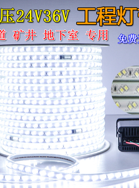 低压led灯带24V36V户外防水超亮地下室隧道矿井照明白光暖光220V