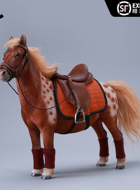 现货 JXK齐刘海小矮马模型仿真马动物周边拍摄小道具可配兵人手办