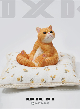 JXK 1/6 懒猫8.0 可爱迷你高端坐垫宠物猫咪客厅桌面摆件模型手办