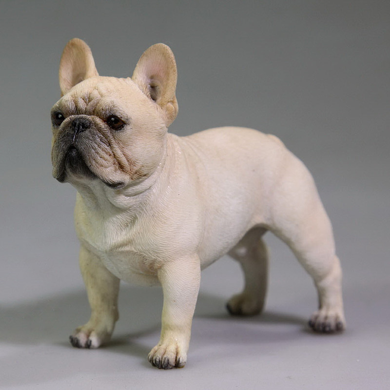 JXK 1/6法国斗牛犬模型 仿真法斗萌宠周边兵人动物狗摆件潮玩手办