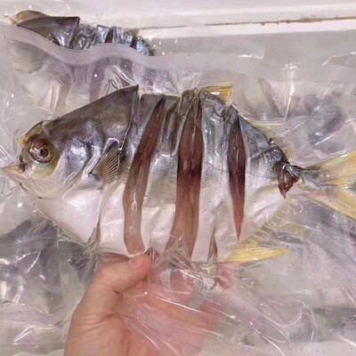 阳江咸鱼干本地金鲳鱼优惠