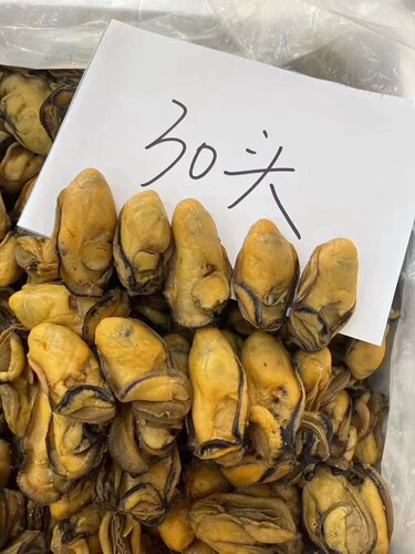【约30头】金蚝干大号约6成干湛江广东牡蛎干蚝鼓金蚝生海鲜干货