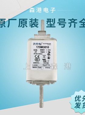全新销售巴斯曼熔断器170M3813D 170M3814D 特价供应 欢迎订购