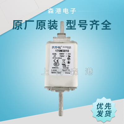 全新销售巴斯曼熔断器170M3813D 170M3814D 特价供应 欢迎订购