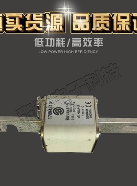 全新销售BUSSMANN巴斯曼熔断器170M4210 170M4211 170M4245模块