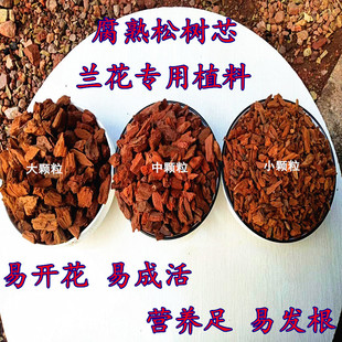 兰花专用土松树芯营养土君子兰蝴蝶兰种植颗粒朽木松树芯兰草兰科