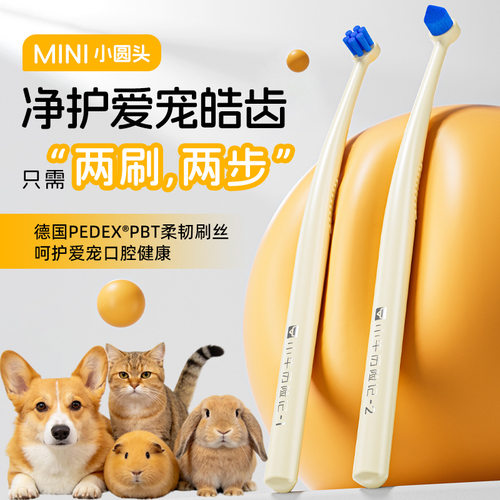 小牛历险记宠物小头牙刷猫咪狗狗