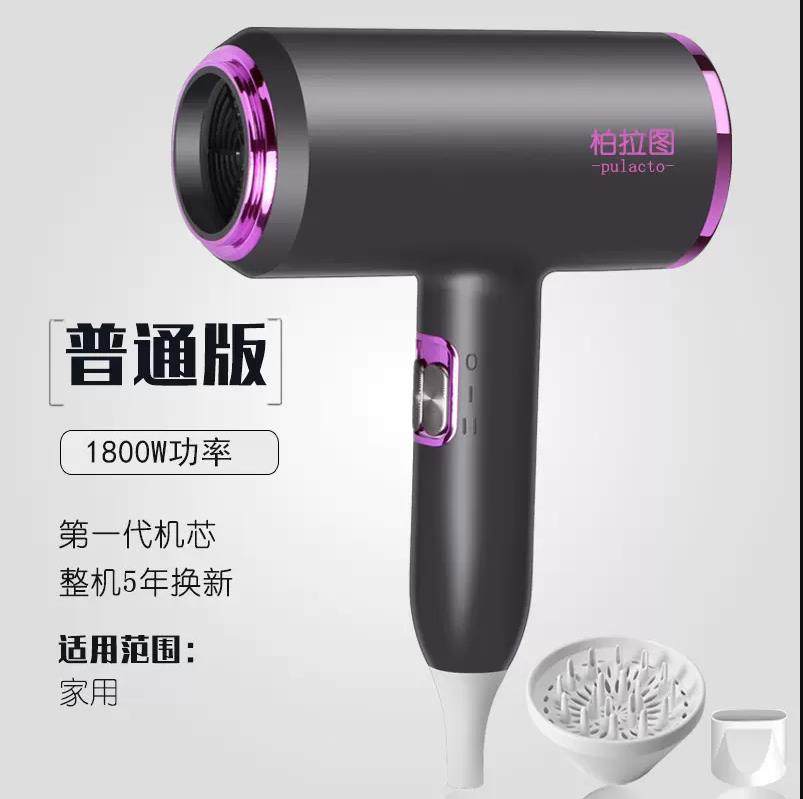 德国柏拉图pulacto发廊电吹风机家用理发店大功率负离子护发静音