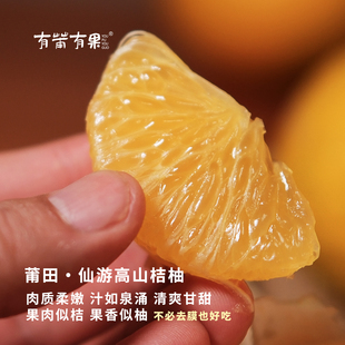有莆有果莆田仙游桔柚高山海拔老树桔柚果肉柔嫩清爽甘甜包邮