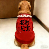 保暖金毛狗狗新年过年衣服狗狗衣服冬季 宠物衣服中大型两脚衣