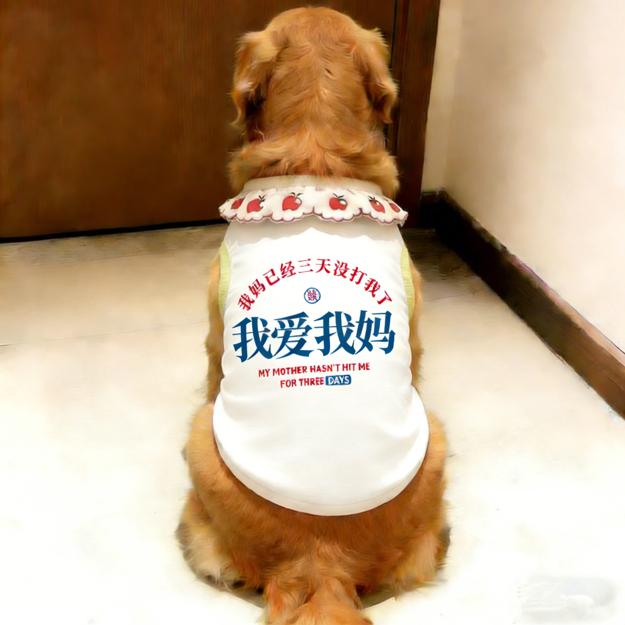 狗狗衣服春夏季薄凉感金毛中大型犬超萌背心宠物服饰防掉毛萨摩耶