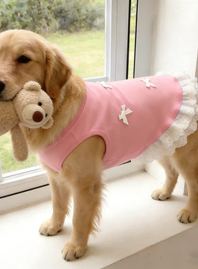 狗狗衣服洋气金毛中大型犬狗狗背心薄款夏季高颜值宠物衣服萨摩耶