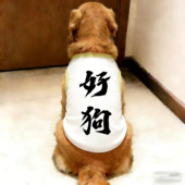 狗狗衣服背心金毛宠物服饰防掉毛超萌亲肤中大型犬拉布拉多萨摩耶