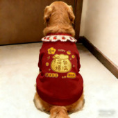 保暖金毛过年衣服狗狗新年中大型狗狗衣服马年发财冬宠物衣服两脚