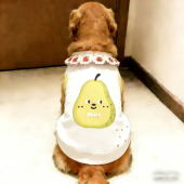 金毛狗狗背心春夏季 衣服中大型犬防掉毛宠物服饰凉感超萌萨摩 薄款