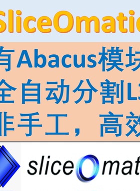 [全自动ABACS有技术非仿冒]sliceOmatic医学图像DICOM骨骼肌面积