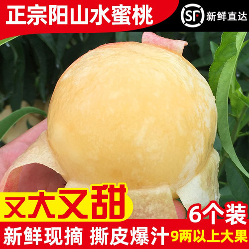 正宗无锡水蜜桃新鲜礼盒