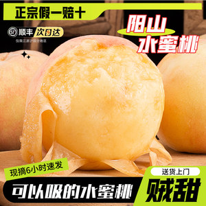 正宗无锡阳山水蜜桃白凤大桃子应季新鲜水果礼盒装现摘现发整箱