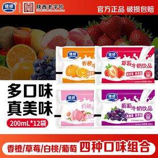 银桥酸甜葡萄草莓白桃香橙混合牛奶饮品含乳饮料200ml*12袋