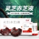 长白山灵芝赤芝液 送礼佳选 西洋参黄芪精华口服液