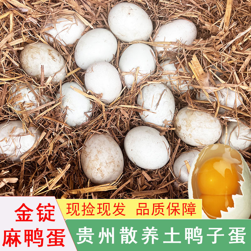 贵州金锭麻鸭蛋散养土鸭子蛋农村散养土鸭蛋新鲜土鸭蛋营养双黄蛋