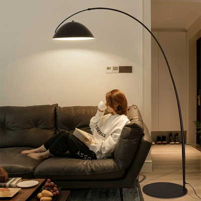 全光谱钓鱼落地灯北欧高级氛围灯