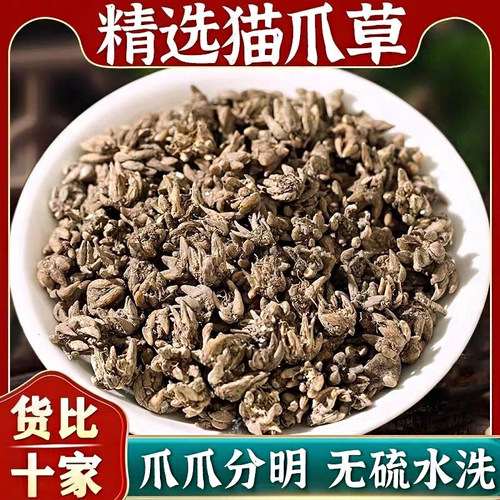 精选猫爪草夏枯草郁金蒲公英泡水