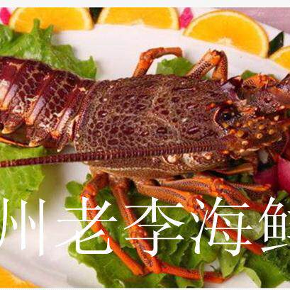 兰州老李海鲜 鲜活青龙虾仔