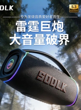SODLK/声莱客 S1621三分频320W大功率家用露营K歌户外蓝牙音响