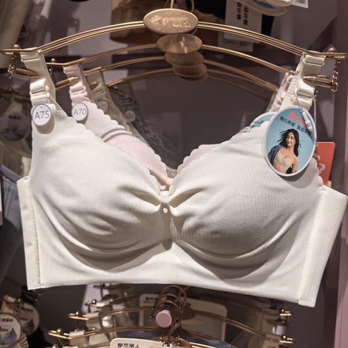 都市丽人文胸26年新款无钢圈中厚后三排扣AB杯调整型内衣LBC2C8