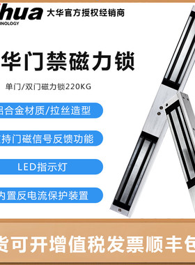 大华单锁DH-ASLMQ220AL-SL DH-ASL1B-22D 双门明装加量不加价